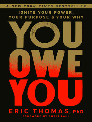 cover image of You Owe You